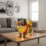 Energiaa täynnä oleva pomeranian